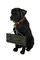 Black Lab Dog Indoor Outdoor Welcome Statue with Reversible Message Sign